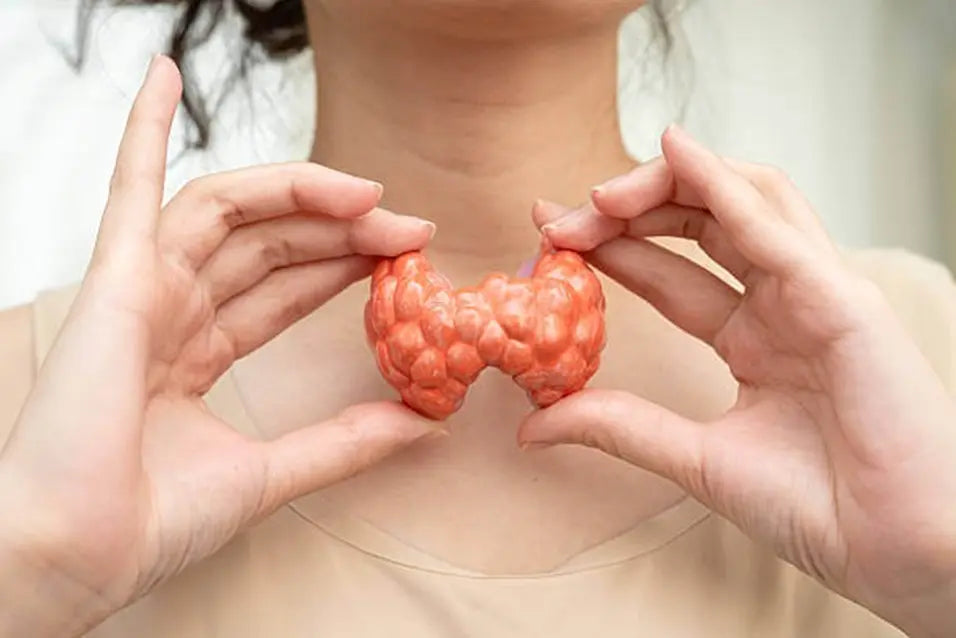 NP Thyroid Medication: Uses, Benefits, and Potential Side Effects