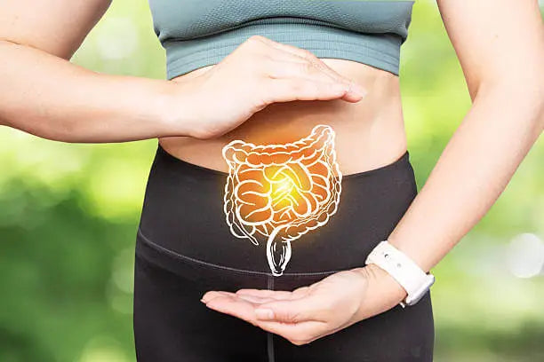 Gut Health Supplements for Better Digestion